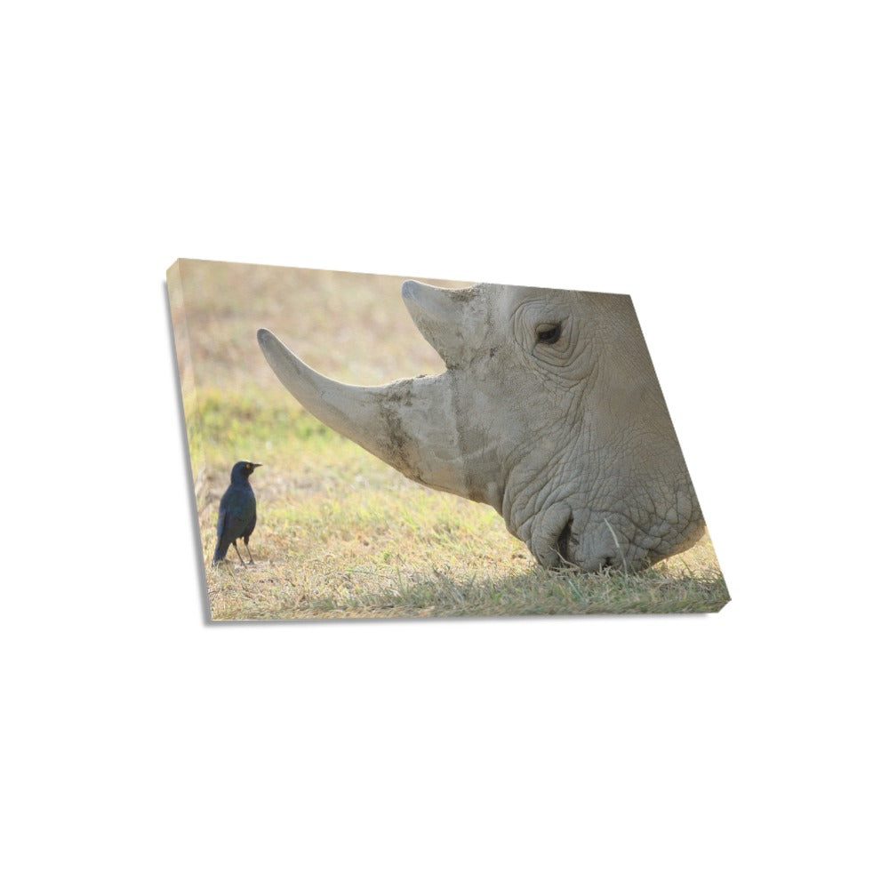 Rhino Bird Canvas Art Print 18"x12"