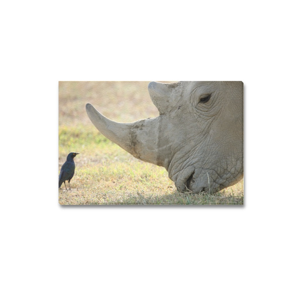 Rhino Bird Canvas Art Print 18"x12"