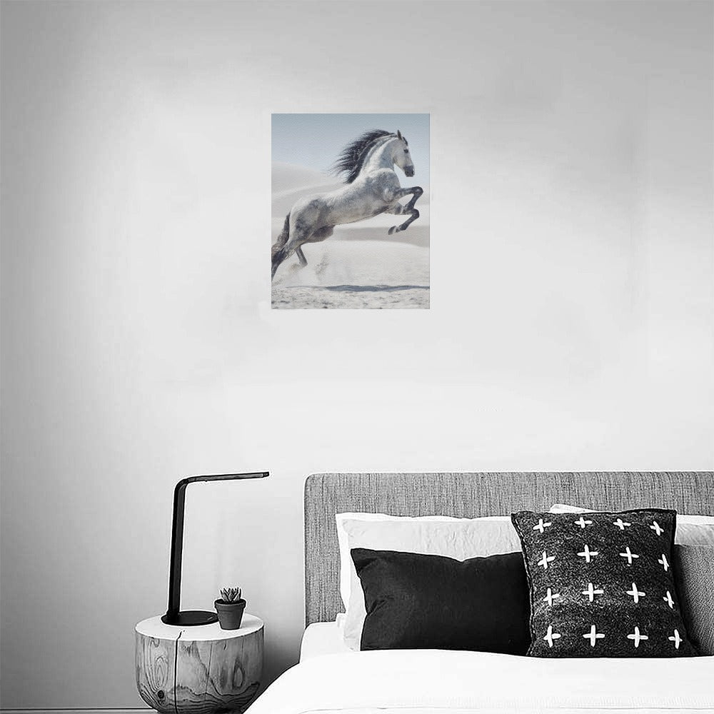 White Horse Canvas Art Print 16"x20"