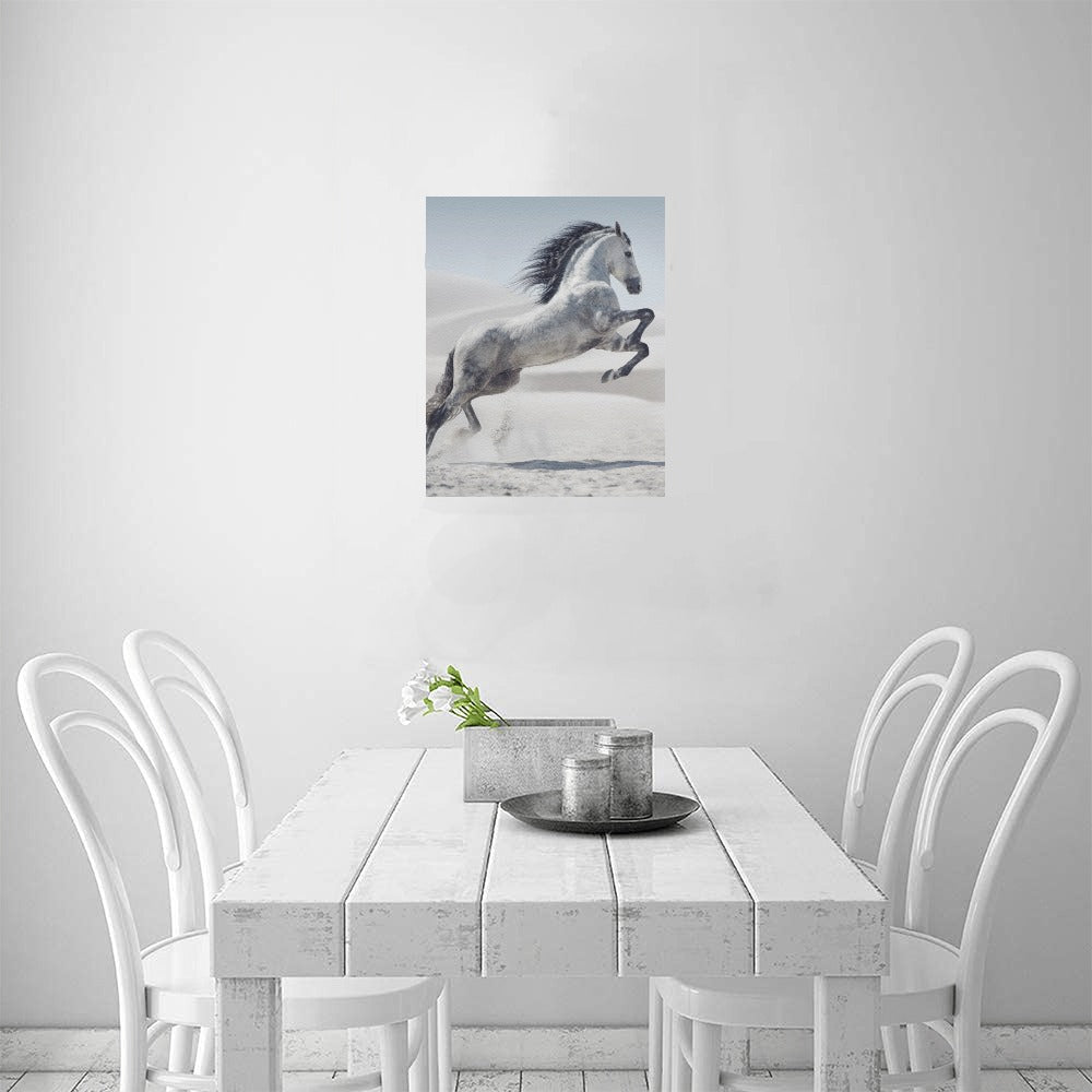 White Horse Canvas Art Print 16"x20"