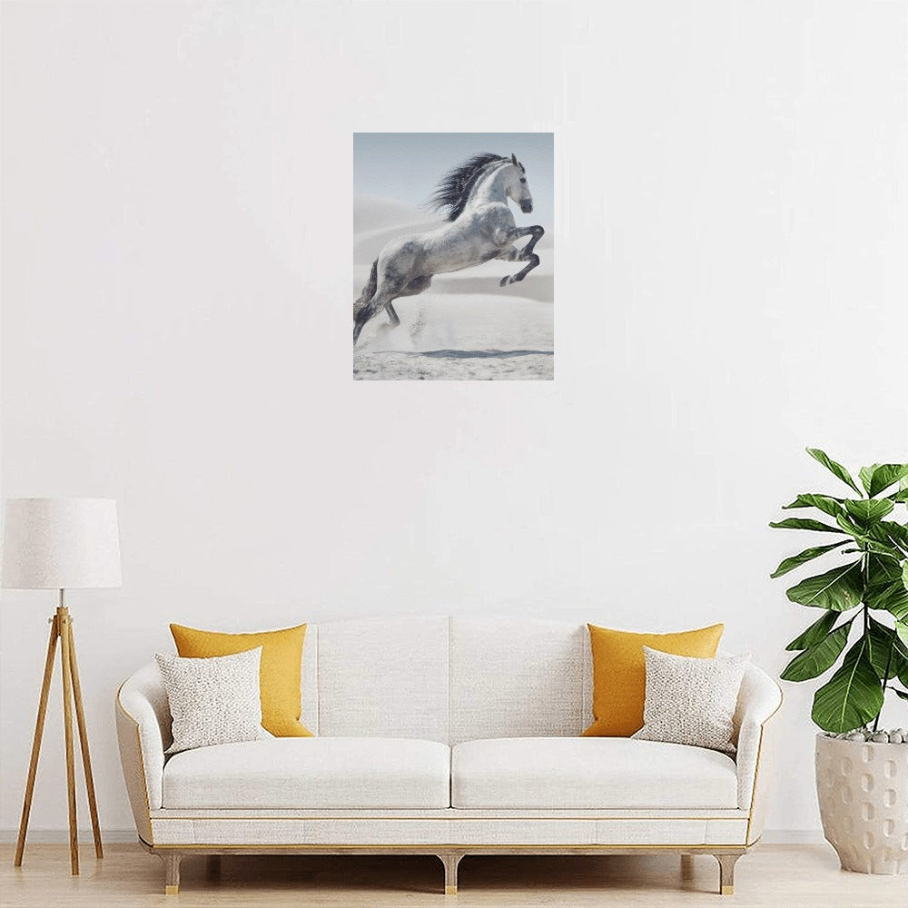 White Horse Canvas Art Print 16"x20"