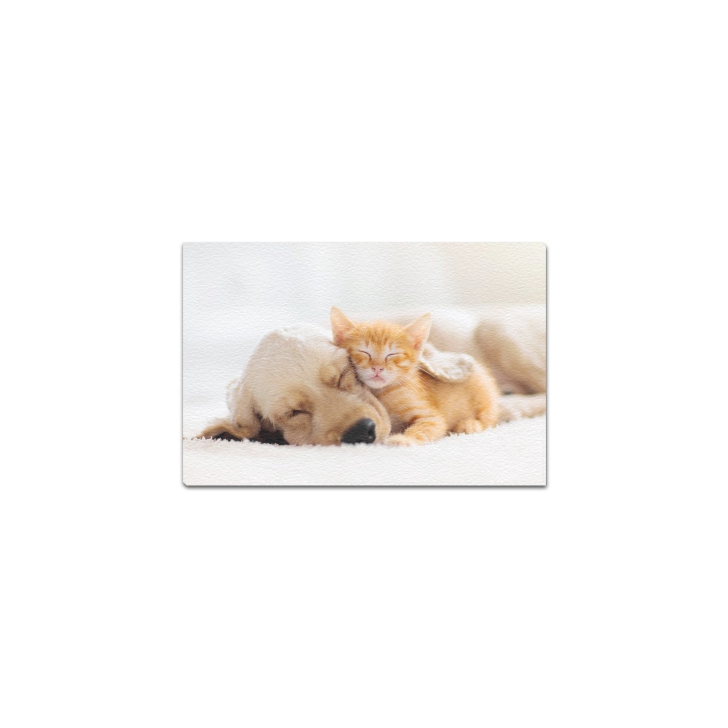 Cuteness Cuddle Canvas Art Print 12"x8"