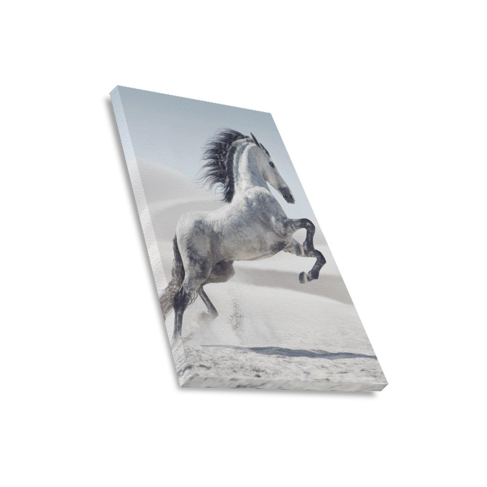 White Horse Canvas Art Print 16"x20"