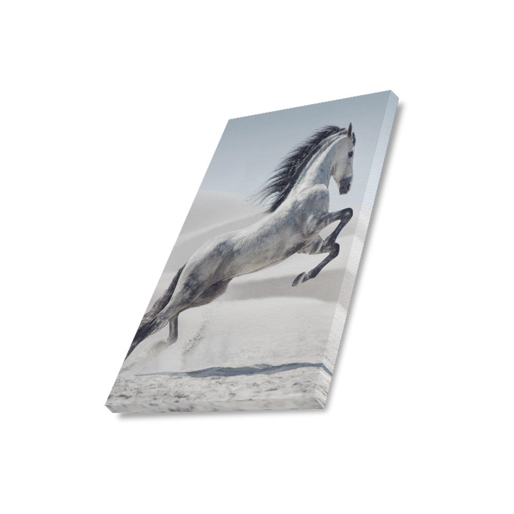 White Horse Canvas Art Print 16"x20"