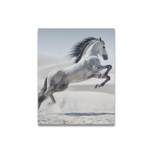 White Horse Canvas Art Print 16"x20"